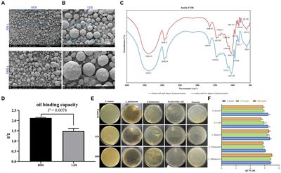 The impact of high polymerization inulin on body weight reduction in high-fat diet-induced obese mice: correlation with cecal Akkermansia